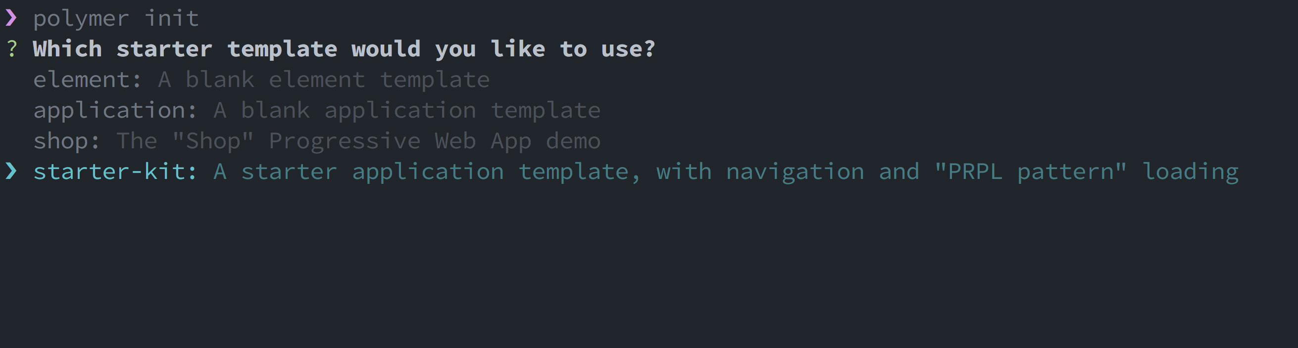Console output showing the starter-kit options